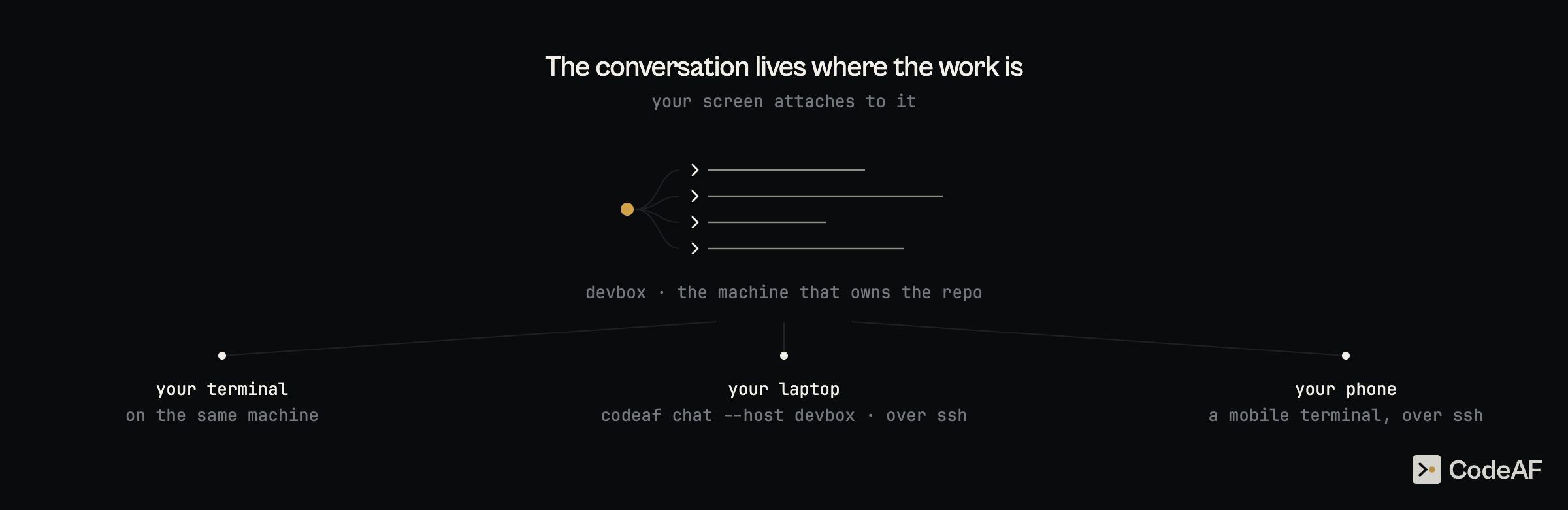 https://github.com/Agent-Field/CodeAF/blob/HEAD/one conversation on devbox; your terminal on the same machine, your laptop over ssh, and your phone from a mobile terminal over ssh all attach to it