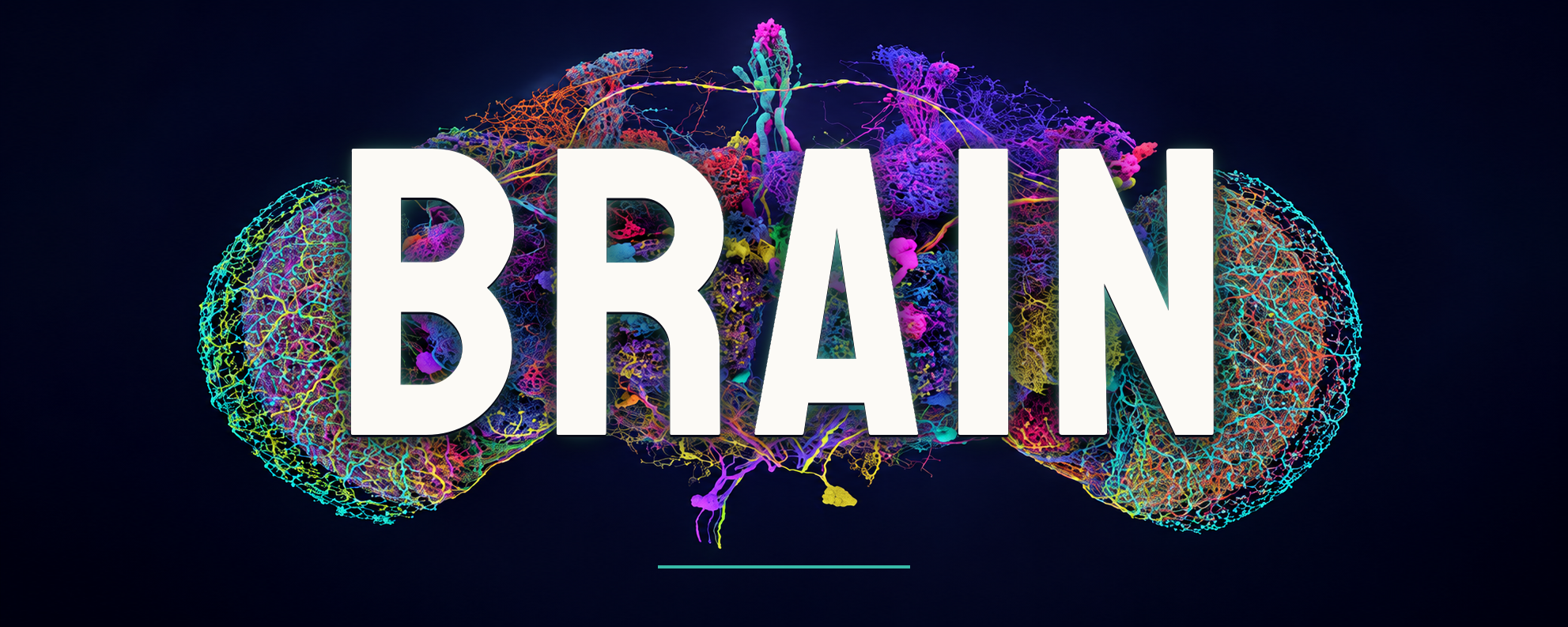 https://github.com/Frankweb33/flybrain-robot-bridge/blob/HEAD/FlyBrain Robot Bridge — from visual signals to physical motion