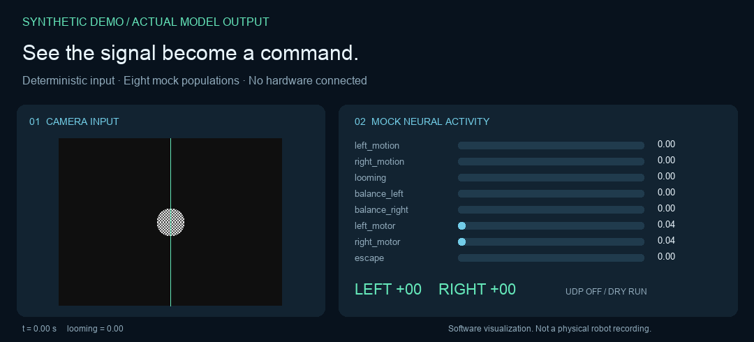Synthetic camera, mock activity and decoded commands