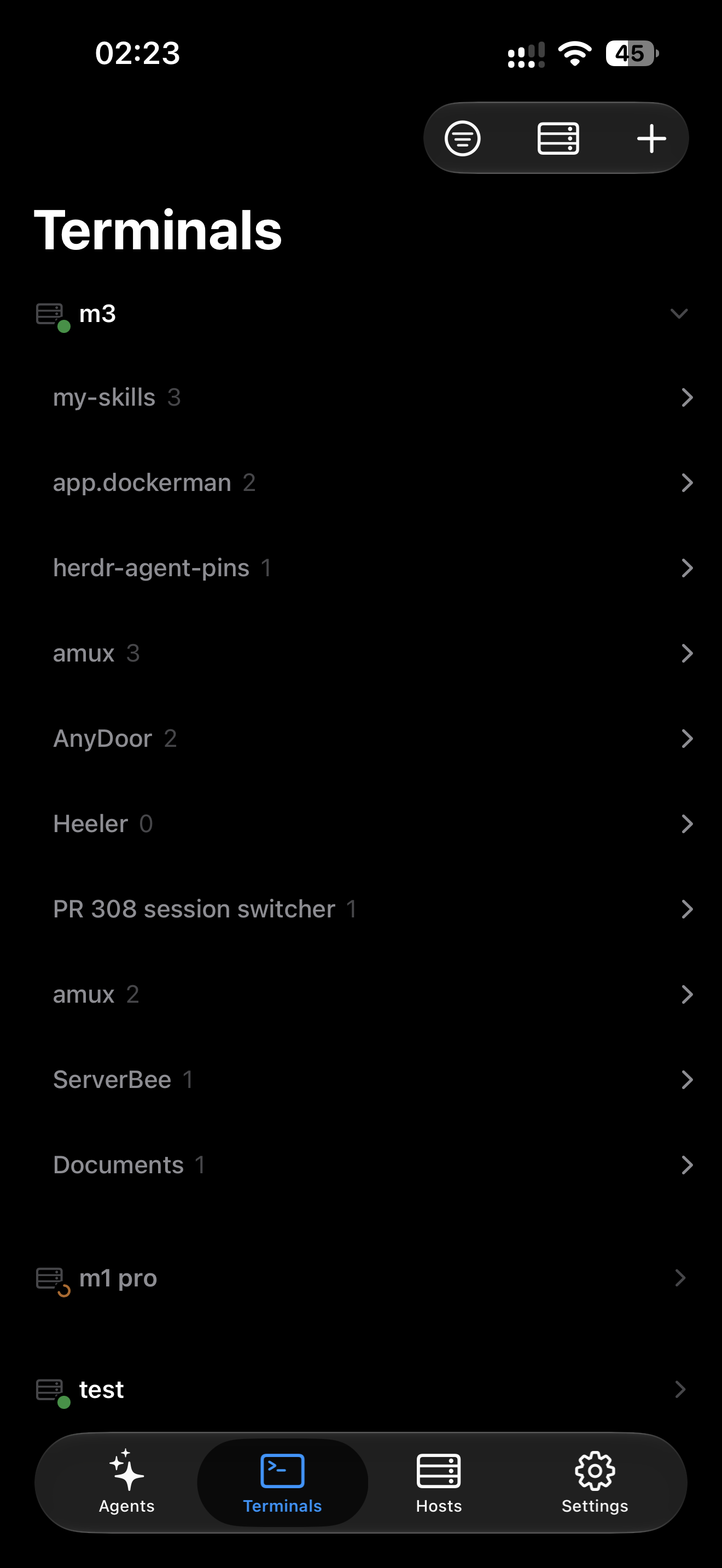 https://github.com/ZingerLittleBee/Heeler/blob/HEAD/Terminals tab listing shell panes by Host and Workspace on iPhone