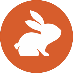 https://github.com/affaan-m/ECC/blob/HEAD/CodeRabbit