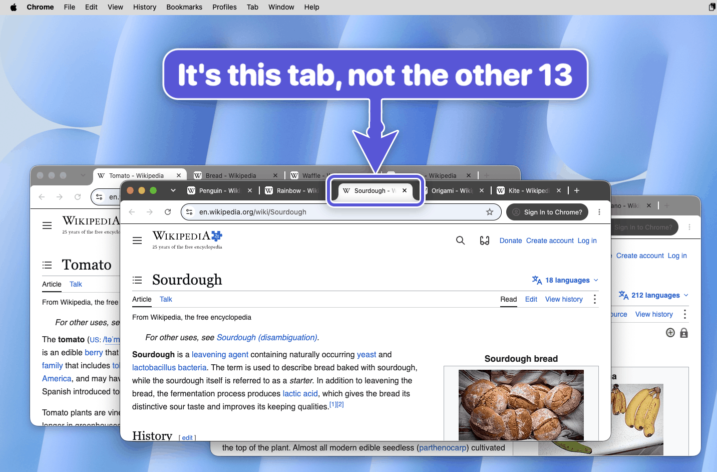 Chrome, three windows, 14 tabs, a big indigo sign: It's this tab, not the other 13