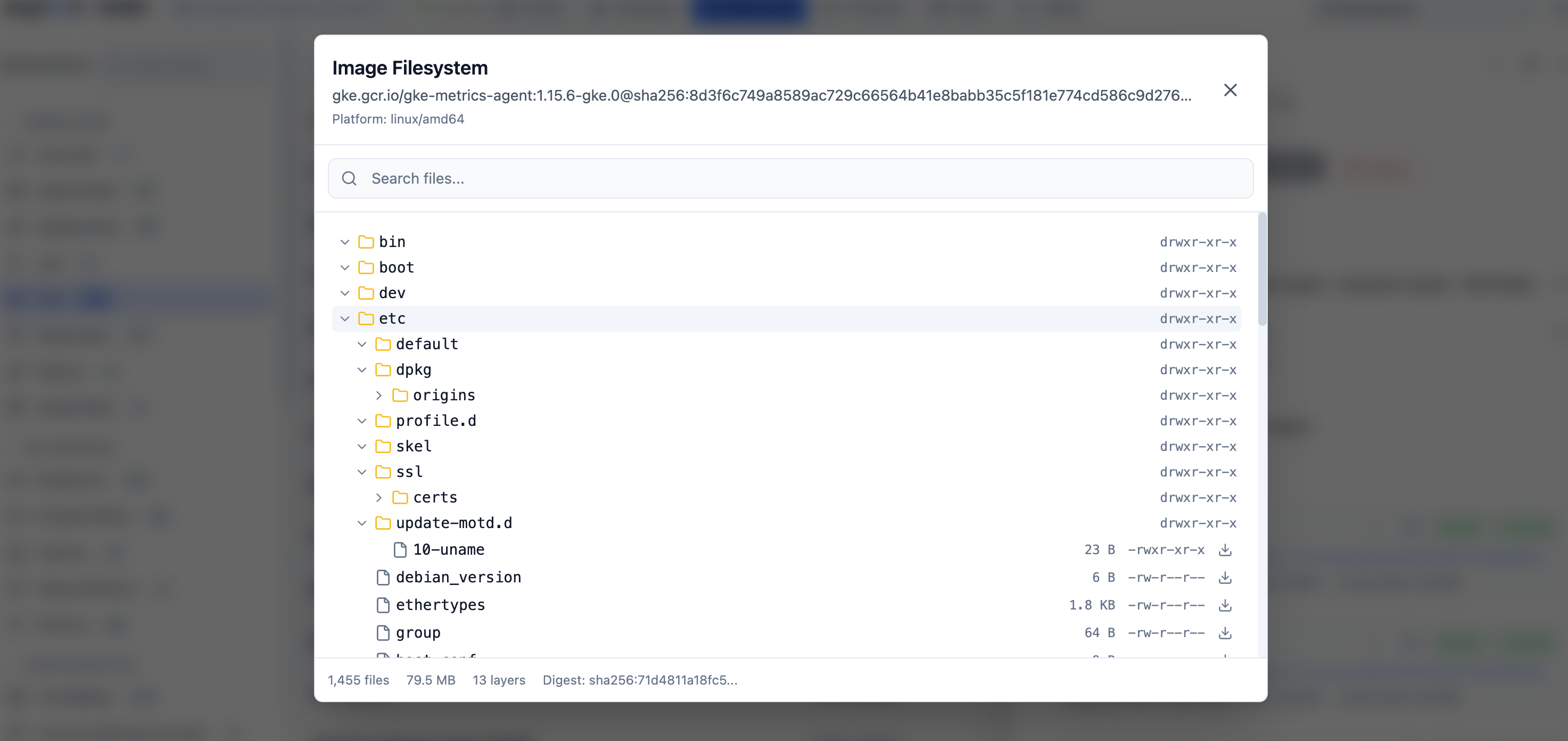 https://github.com/skyhook-io/radar/blob/HEAD/Image Filesystem Viewer