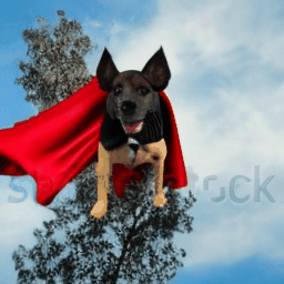 https://github.com/camenduru/text-to-video-synthesis-colab/blob/HEAD/A dog wearing a Superhero outfit with red cape flying through the sky.